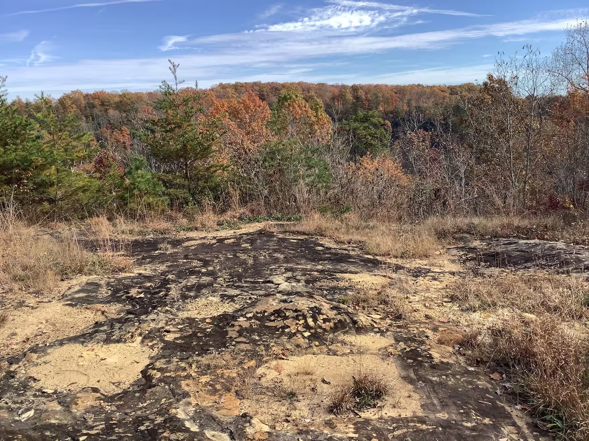 Sandstone bluff panorama
